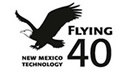 Flying 40 Logo